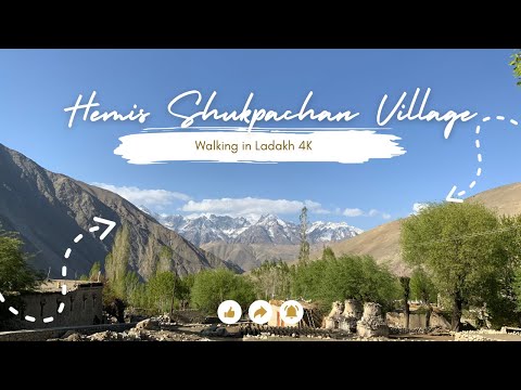 Walking in Hemis Shukpachan Village Ladakh 4K