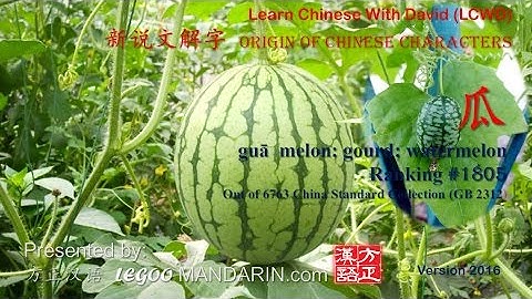 Origin of Chinese Characters - 1805 瓜 melon, gourd - Learn Chinese with Flash Cards