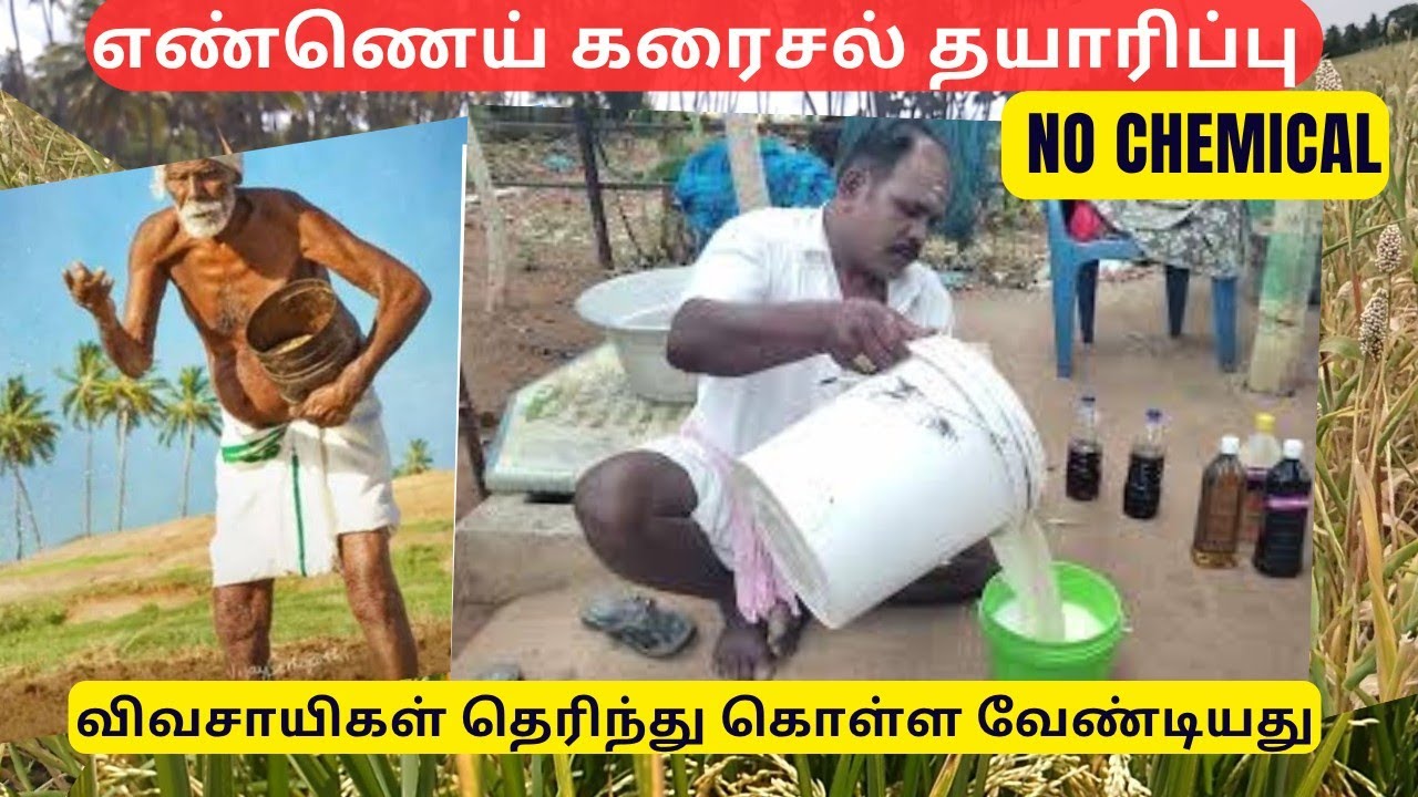 விவசாயிகளுக்கு இது கட்டாயம் தெரிந்து இருக்கனும் | எண்ணெய் கரைசல் | Neem Oil Karaisal