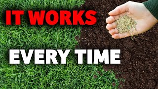 The complete guide on how get a thicker lawn for beginners screenshot 4