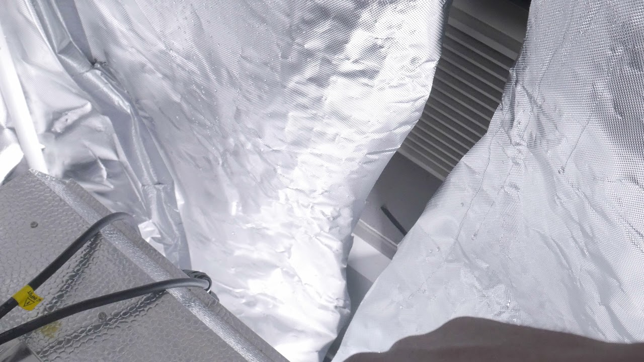 How To Grow Weed - PlugTalk101 (Season 6 Ep 5 / Heat Problems with the tent.. Good, Bad, and Ugly)