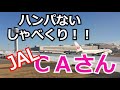 しゃべくりまくる、饒舌なCAさん （日本航空 JAL）