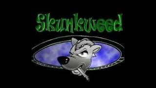 Video thumbnail of "OPEN MINDED REDNECK - SKUNKWEED - SAN ANTONIO TX - GOOD AUDIO"