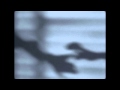 closeyoureyes - seagulls (official video)