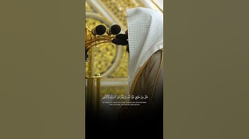 الشيخ عبد الله القرافي بصوته الجميل يتألق في تلاوة فريدة من محراب المسجد النبوي
