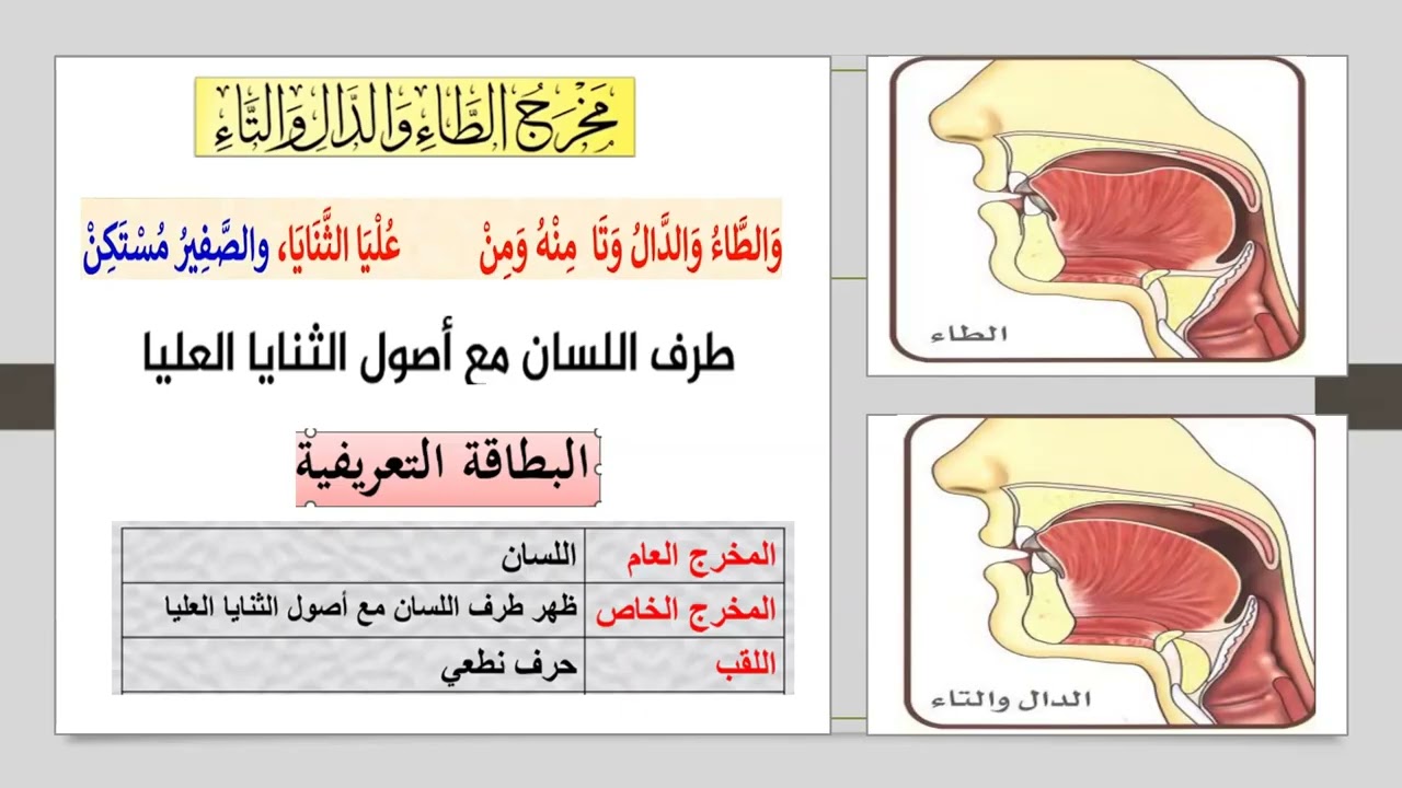 مخرج الطاء والدال والتاء