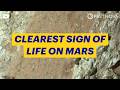 Signs of Life on Mars? NASA's Discovery, Explained | NOVA | PBS