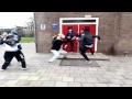 Harlem shake zuidwest