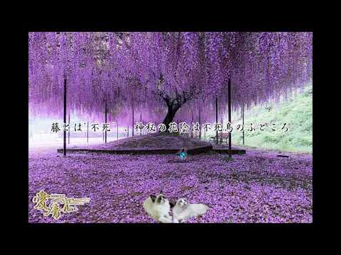 愛音2020年 皐月のお便り