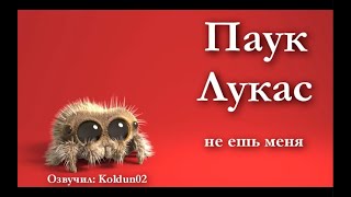 Паучок Лукас 14 серия