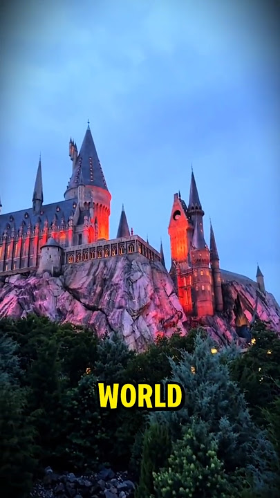 Real Life Harry Potter! 😱🧙‍♂️
