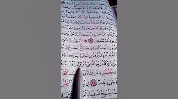 بصوت الشيخ ياسر الدوسري سورة النور الله نور السموات والأرض