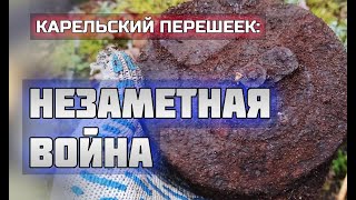 Лес, полный опасных находок! Что тут случилось?/Раскопки Второй мировой войны