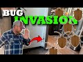 Gross bug invasion  our worst nightmare  rv warranty repairs