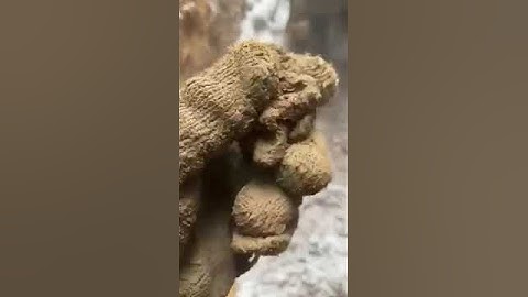В поисках золота