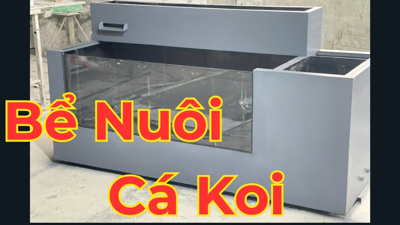 Bể nuôi cá Koi mini🐬 (200x75x75) Nhựa đúc nguyên khối _ Giang Minh Composite
