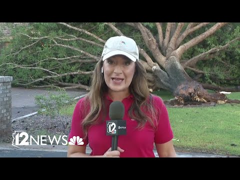 Residents wake up to storm damage in the East Valley