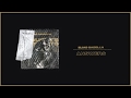Elias Sabella Answers Audio 