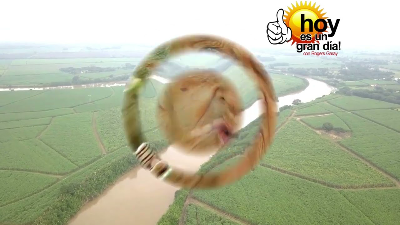 Reseñas Del Arte - Río... Un Caudal De Existencia