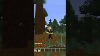 Minecraft Infinite Health God Apple Glitch Java 1.20