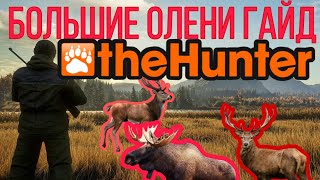 : The Hunter Classic   , , ,     !!!!