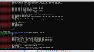 P08-07) TryHackMe pwn101 level9 - leaking libc address using GOT/PLT [PER]