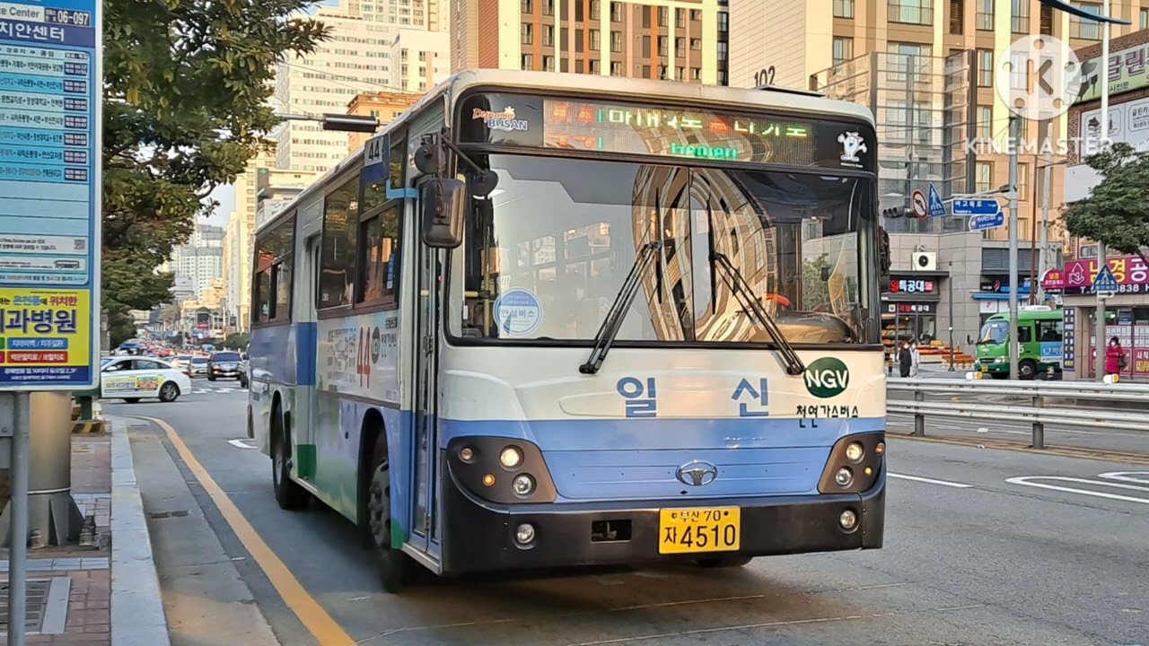 부산 현재는 대차된차량 사진모음집