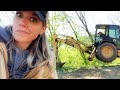 Sawing & Clawing : Swamp Loggers Farm Style