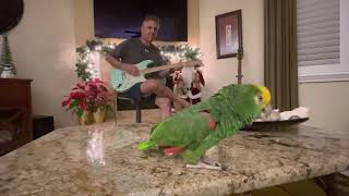 Sultans Of Swing