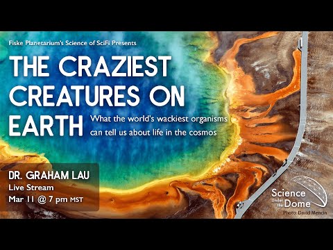 The Craziest Creatures on Earth: What the world&rsquo;s wackiest organisms can tell us about life in the c