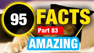 95 Facts That Will Blow Your Mind | Mind Blowing Facts You Didn’t Know