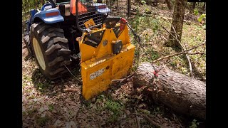 pulling out a black cherry with hud-son uniforest 35m and stihl ms 500i