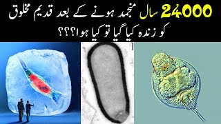 Ancient Creature Revived After Being Frozen in Siberia 24000 Years can still reproduce | SAMMI TV