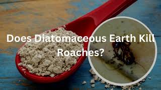 How To Kill Cockroaches With Diatomaceous Earth (Safe For Kids and Pets) - DE And Cockroaches
