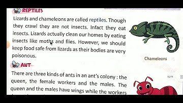 EVS, Class-3, Chapter-16, Clawlers and Insects, Book- Treasure of Nature By Ms Jyoti