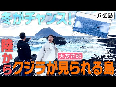 【大友花恋in八丈島】陸からホエールウォッチング！冬の八丈島ならではの絶景〈ロコレコ！〉