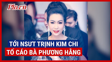 Sau ca sĩ Vy Oanh, Đàm Vĩnh Hưng đến NSƯT Trịnh Kim Chi nộp đơn tố cáo bà Phương Hằng - PLO