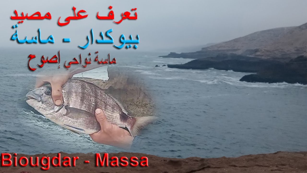 مصيد بيوكدار إصوح ماسة أكادير – أين يوجد بيوكدار 2023