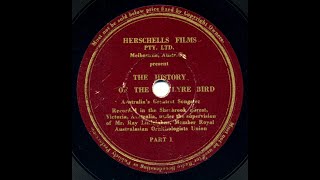 The History of the Lyre Bird. Recorded in the Sherbrook Forest, Victoria, Australia