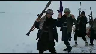 Afghan taliban new whatsApp status 🔥 | taliban Attan whatsapp status  2021 💪👊 | Taliban Zindabad