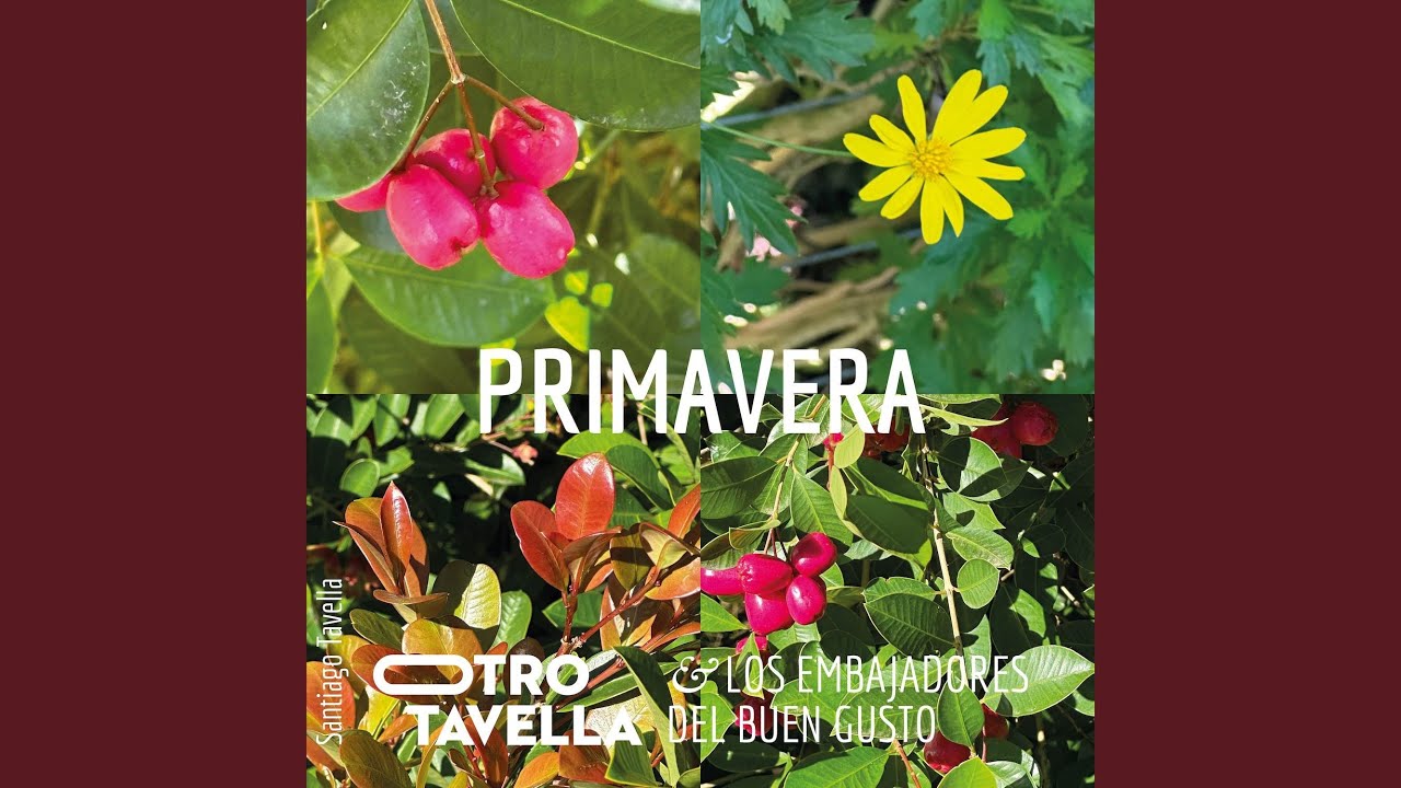 Primavera