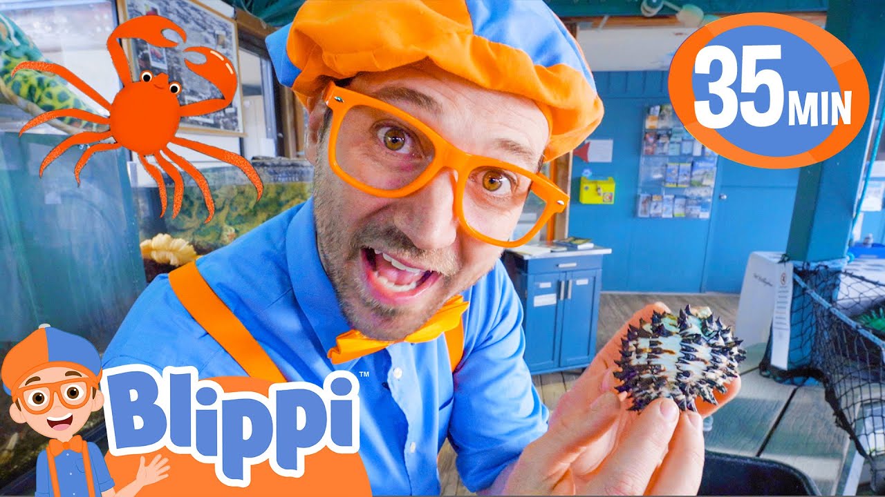 Learn to Wash Toy Trucks, Blippi, Life at Sea, Kids Ocean Learning