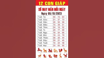 Con số may mắn ngày 05-10-2023 cho 12 con giáp #consomaymanhomnay #tailocmayman #xuhuong