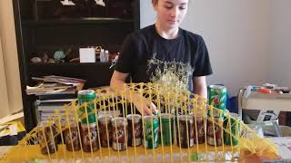 Winter 2020 Spaghetti Bridge Test