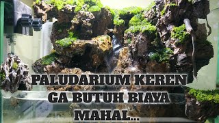 CARA MEMBUAT PALUDARIUM - PALUDARIUM KEREN GA BUTUH BIAYA MAHAL
