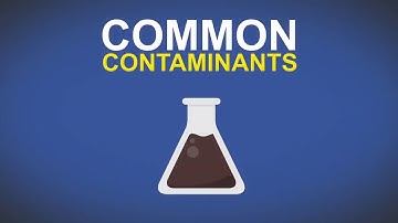 P & P Optica - Smart Imaging for Food