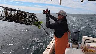 Maine Recreational Lobstering S1E8