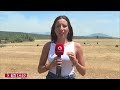 🔴 Controlado el incendio de Lozoyuela tras arrasar casi 800 hectáreas
