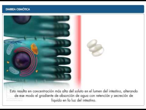 Diarrea osmótica