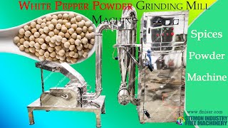 White pepper grinder machine for grinding spices into powder┃Spice pulverizer mill size reduction